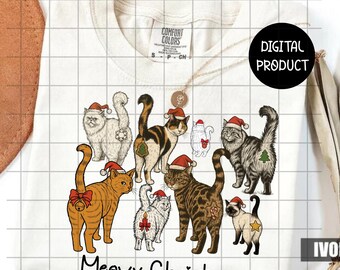 Meowy Christmas Cat PNG, Santa Hat Cats Clipart for Shirts, 300 DPI Transparent Sublimation, Kitten Holiday Digital Download