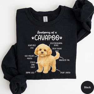 Puede incluir: Sudadera negra con el texto "Anatomy of a Cavapoo" y un diagrama de un perro Cavapoo. El diagrama etiqueta las características del perro, incluyendo "Heart-Melt Eyes" y "Zoomie Legs". La palabra "Black" está en la esquina inferior derecha.