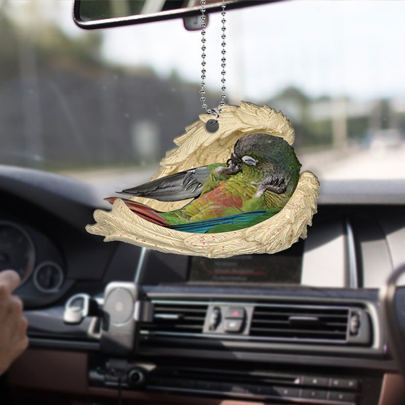 Green Cheek Conure Sleeping Angel Car Ornament Car Decor Etsy