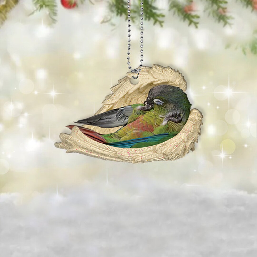 Green Cheek Conure Sleeping Angel Car Ornament Car Decor Etsy