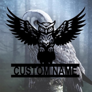 Personalized Owl Metal Wall Plaque: Zoo Decor, Owl Keeper Gift