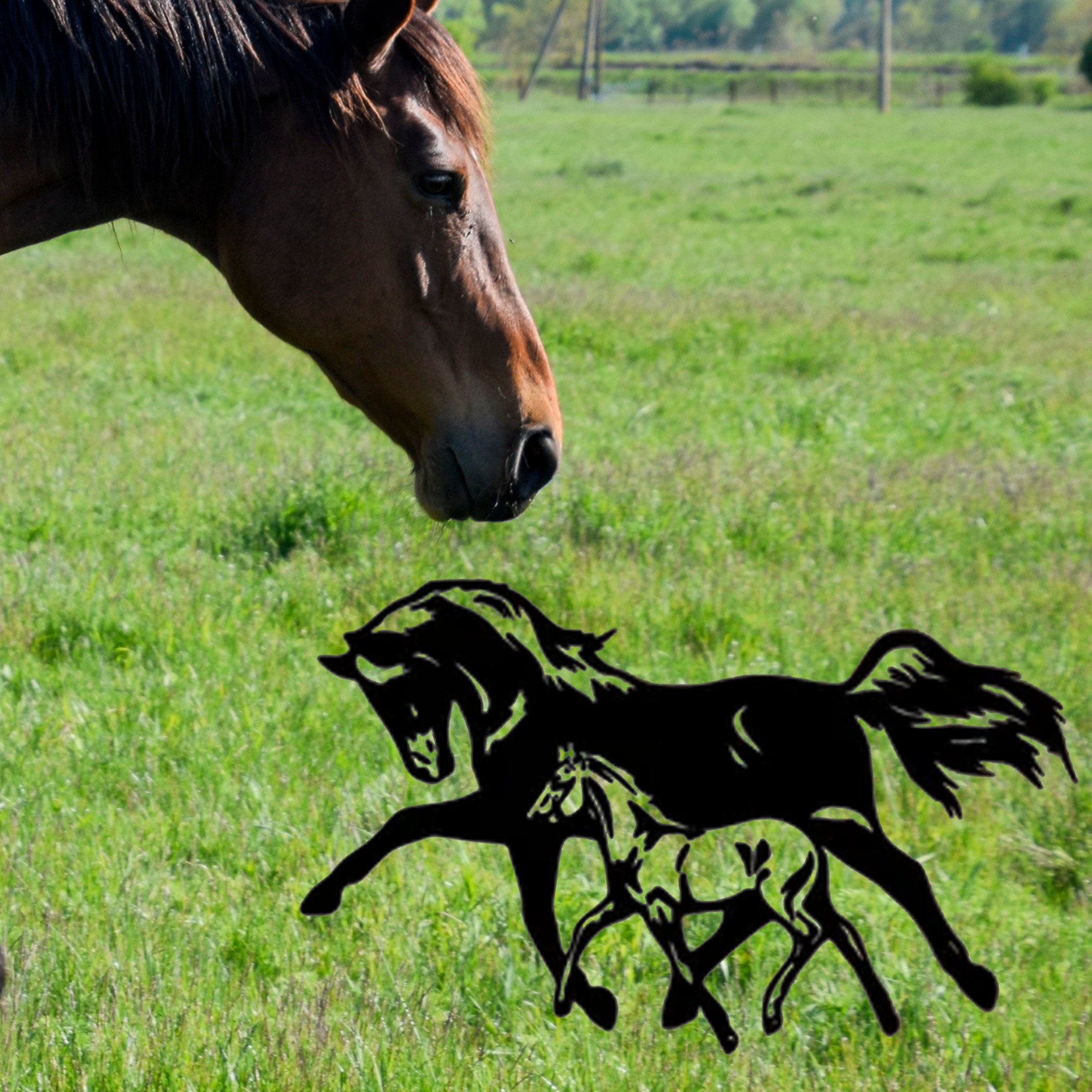 Custom Metal Horse Sign, Horse Home Decor, Metal Sign, Metal Wall Art