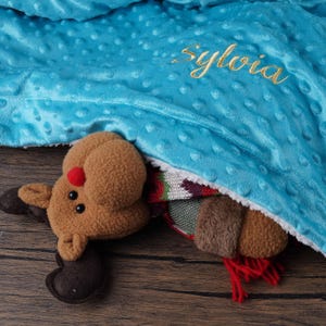 Personalized Baby Blanket Embroidered with Name,Custom Blanket for Him and Her,Super Soft Blanket,Newborn Baby Gift