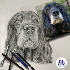 Hand drawn Commission Pencil Custom Pet Portrait from Photo Personalised Pet Portrait Realistic hand made Unique gift Pet memorial