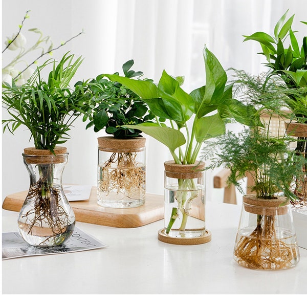 Creatieve transparante hydrocultuur glazen vaas, kleine en eenvoudige glazen vaas, groene dille vaas voor thuiskantoor woonkamer decoratie