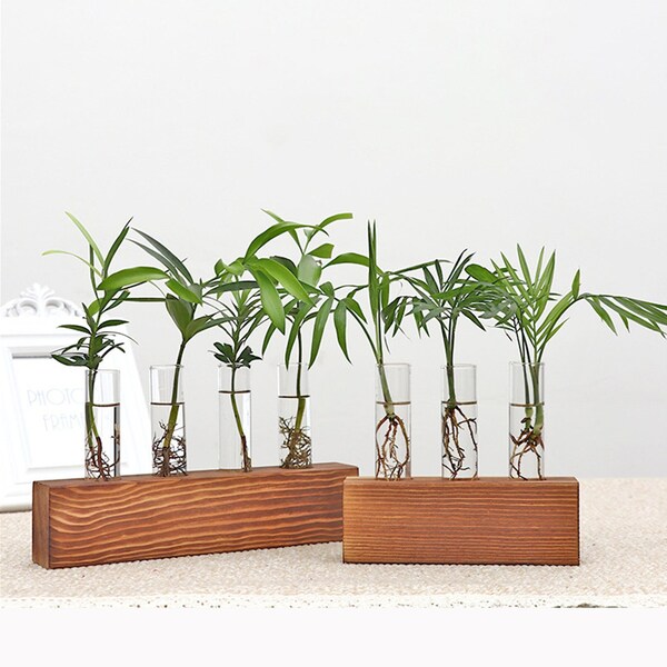 Desktop Terrarium Etsy