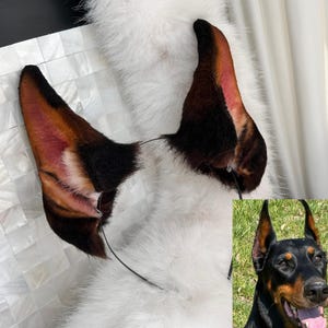Handmade Doberman Ears Headband, Cosplay Doberman, Brown Dog Ears, Cosplay Dobie, Kemonomimi, Custom Available