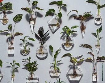 Macetero de vidrio hidropónico para colgar en la pared, decoración de jarrón de terrario transparente de 17 formas, macetero de propagación de esquejes de plantas, jarrón de eneldo verde