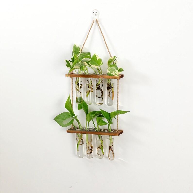 Tiered Propagation Station Wall Hanging Plant Terrarium With Wooden