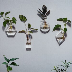 Wall Hanging Hydroponic Glass Planter, 17 Shapes Transparent Terrarium ...