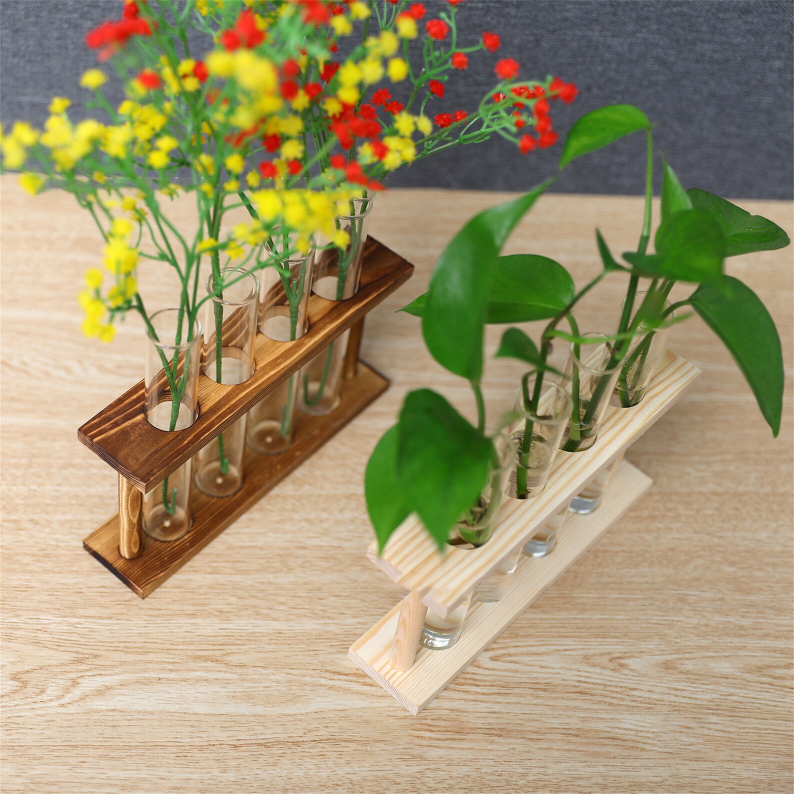 Wooden Terrarium Stands With 4 Test Tubes, Air Plant Holder Propagation