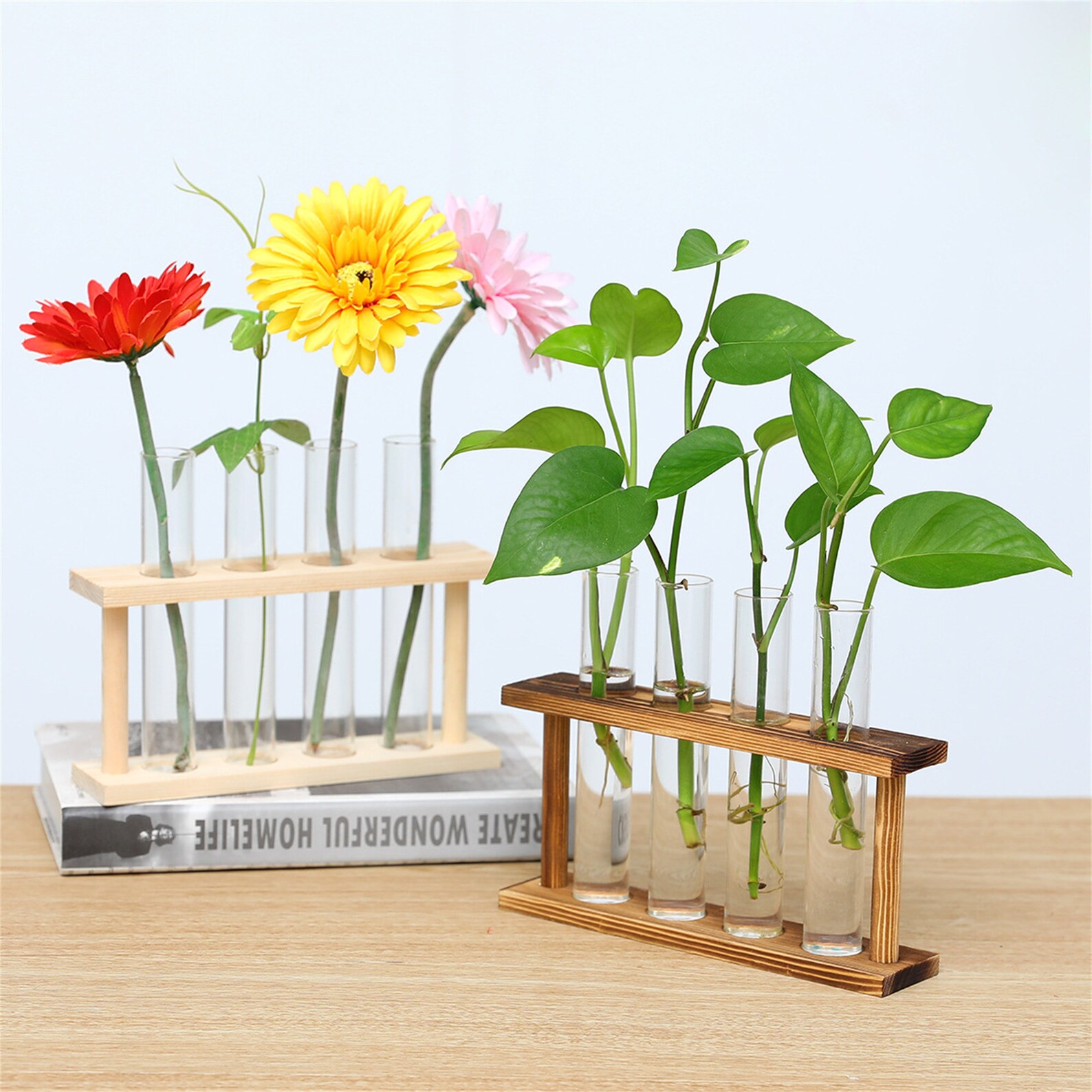 Wooden Terrarium Stands With 4 Test Tubes, Air Plant Holder Propagation