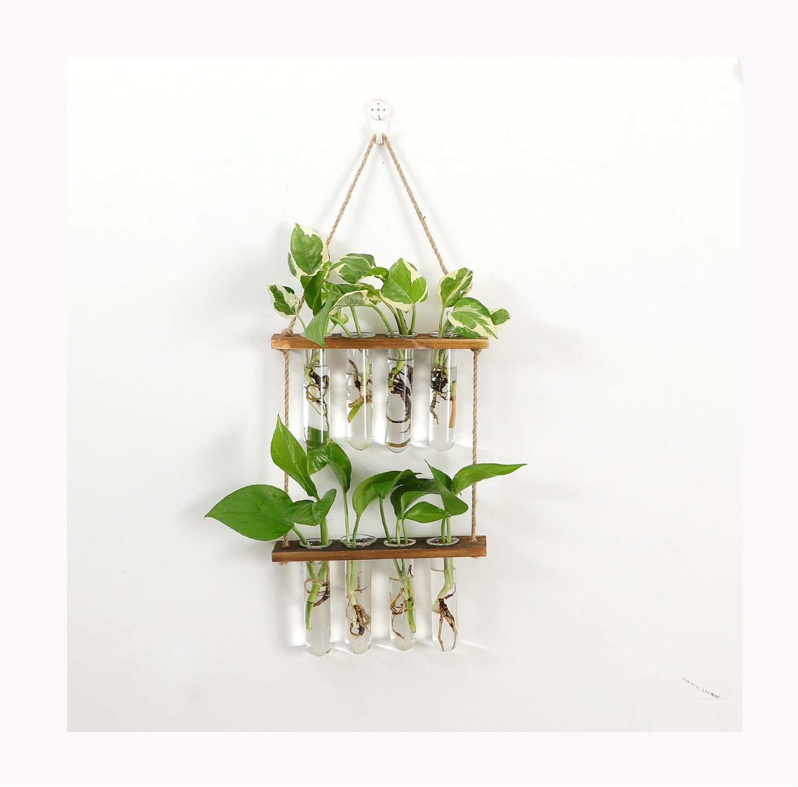 Tiered Propagation Station Wall Hanging Plant Terrarium With Wooden