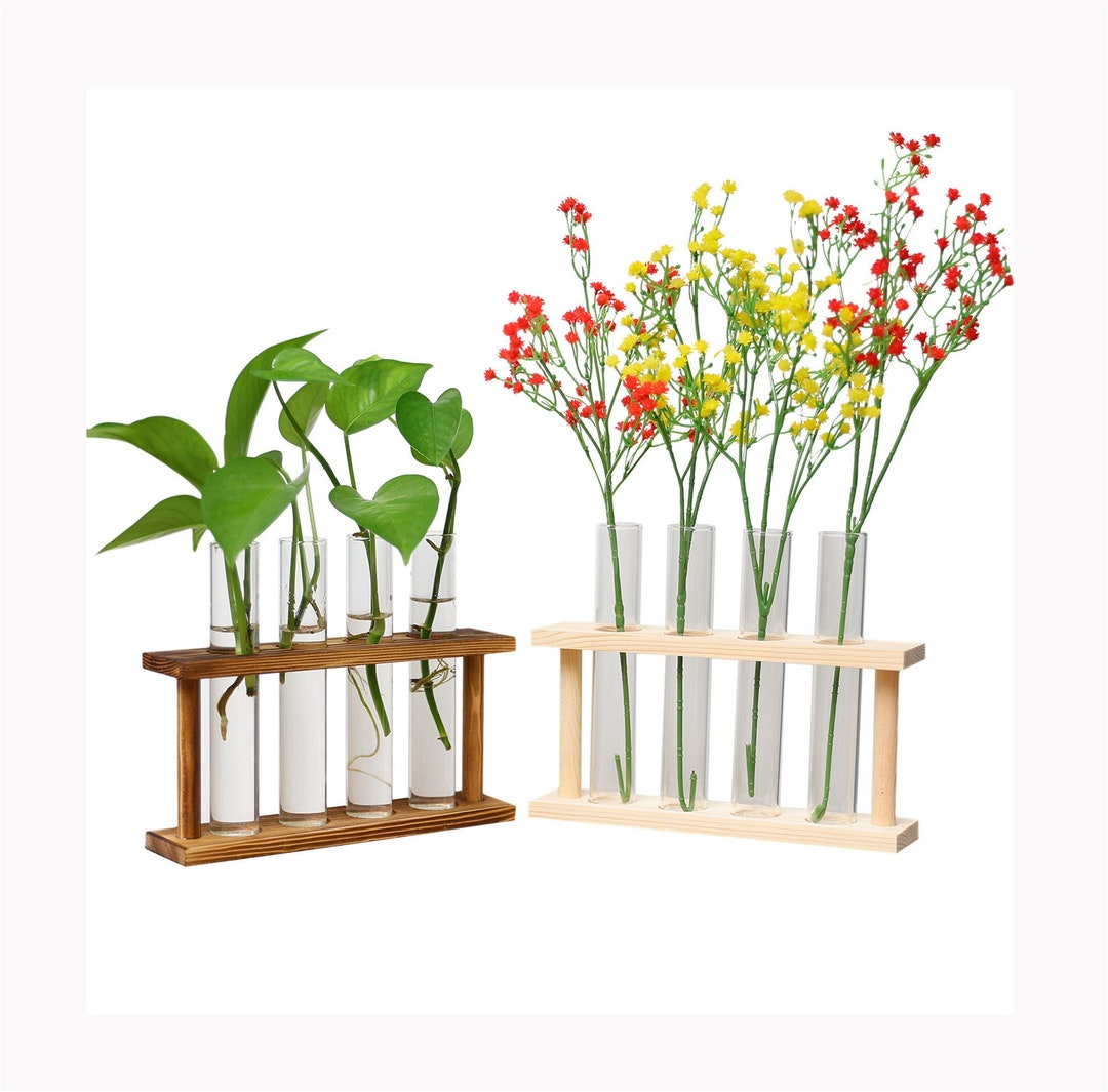 Wooden Terrarium Stands With 4 Test Tubes, Air Plant Holder Propagation