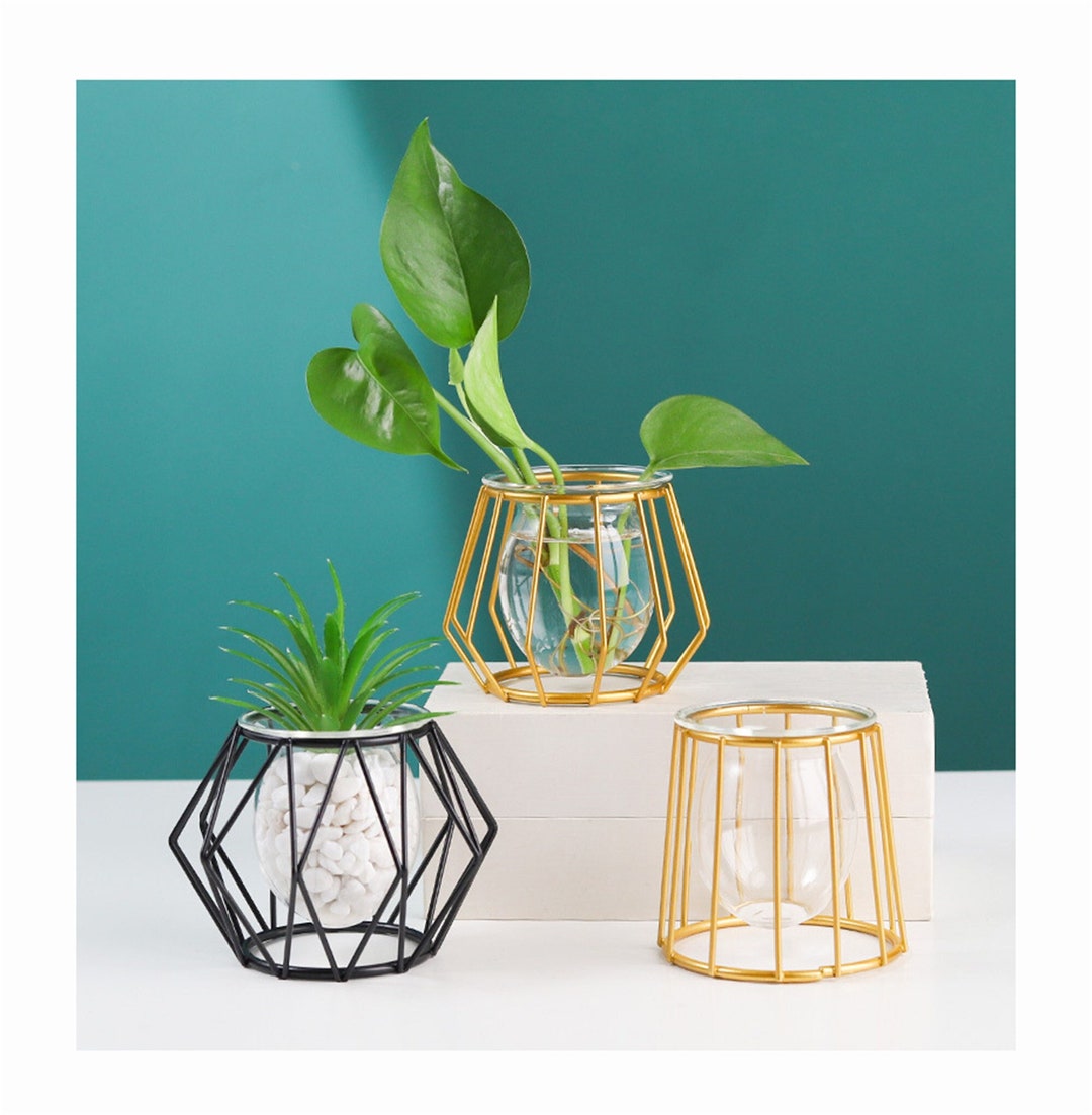 Flower Vases With Iron Art Frame, Geometric Plant Pot, Centerpiece