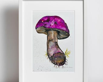 Violet fungi