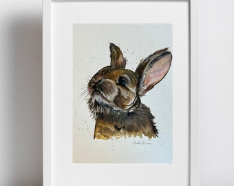 Mr. Rabbit