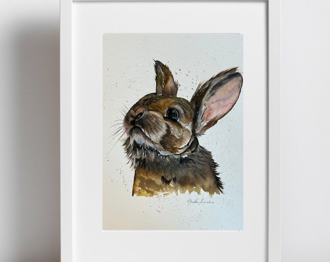 Featured listing image: Mr. Rabbit