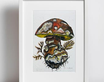 Magic Fungi