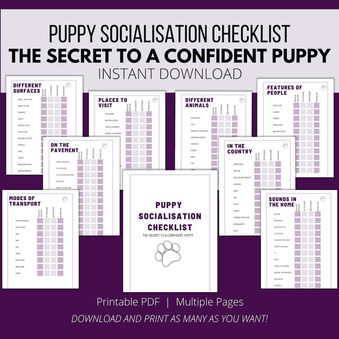 Puppy Socialisation Checklist for New Puppies, Puppy Socialisation Guide, Puppy Socialization ...