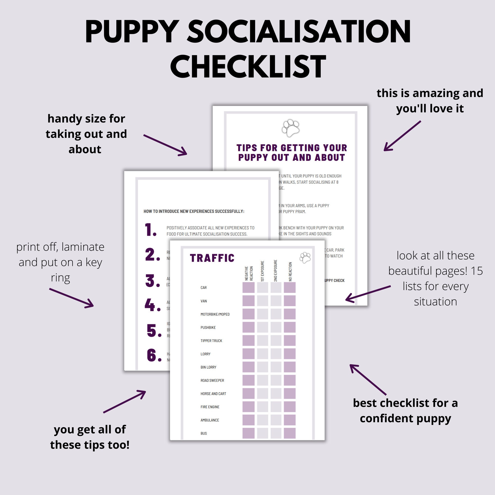 Puppy Socialisation Checklist for New Puppies, Puppy Socialisation Guide, Puppy Socialization ...