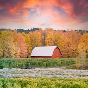 Summer Sunsets in Traverse City, Michigan DIGITAL PRINT