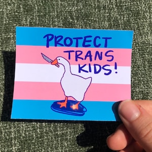 Könnte beinhalten: Ein Aufkleber mit einer weißen Gans, die ein Messer im Schnabel hält und auf einem blauen Surfbrett steht. Die Gans befindet sich vor einem Hintergrund der Transgender-Pride-Flagge mit dem Text "PROTECT TRANS KIDS!" in Blau.