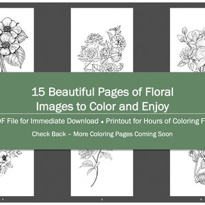 Floral Coloring Book Three - 15 Pages - Coloring Pages, Adult Coloring Pages, Printable Coloring Pages, Instant Download, PDF Coloring Pages