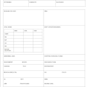 May include: A blank medical chart form with headings for patient information, vital signs, assessments, and hospital plans.