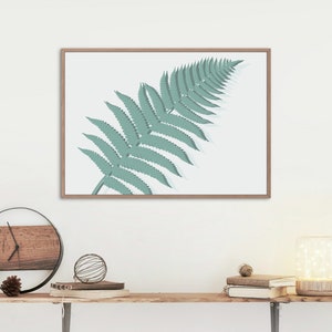 Fern Print