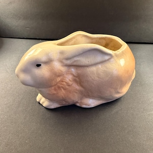 May include: A ceramic bunny planter in shades of tan and peach. The bunny is in a seated position with its ears upright and a small opening at the top for planting. The planter has a glossy finish and black eyes.