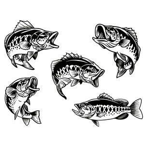 Largemouth Bass Fish , Fish Svg Png Bundle , Fish Vector , Bass Fish Clipart , Fishing Svg , Fisherman Svg , Digital Download
