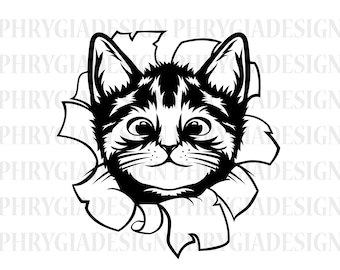 Cute Cat Svg , Kitty On The Wall Svg , Cat Svg , Cat Clipart , Funny Cat Svg , Cute Cat Shirt Design , Cat Png , Animals Svg