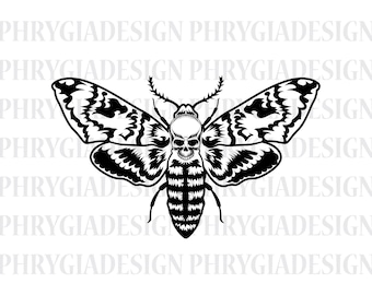 May include: Black and white illustration of a moth with a skull head. The moth has intricate wing patterns and a detailed body.
