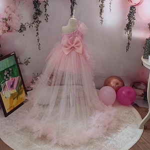 Pearly Pink Tulle One-Shoulder Dress with Train: Toddler Princess Gown