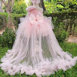 Powder Pink Tulle One-Shoulder Dress: Long Train Pageant Gown