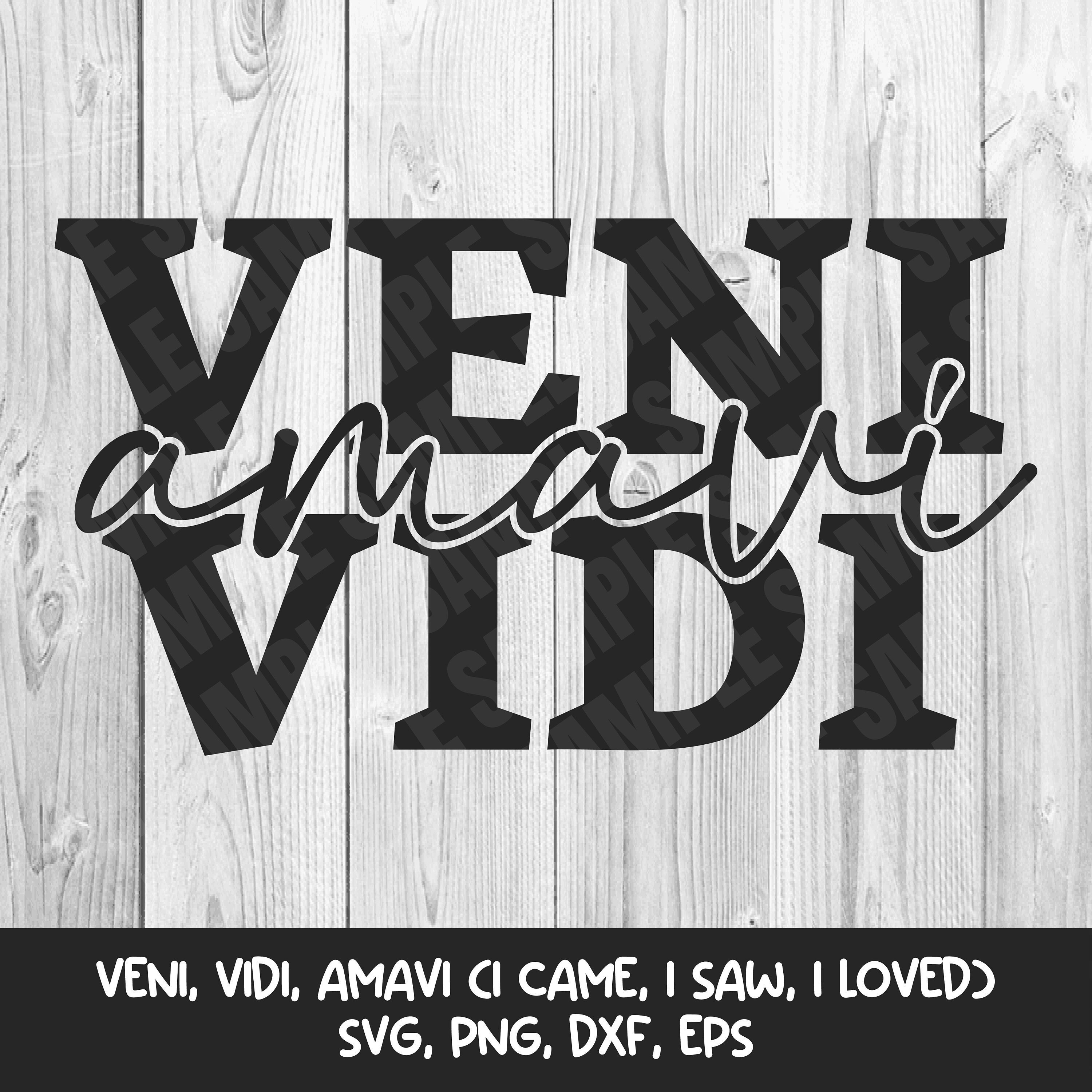 Veni Vidi Vici Quote -  Sweden