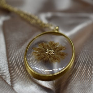 Star Flower