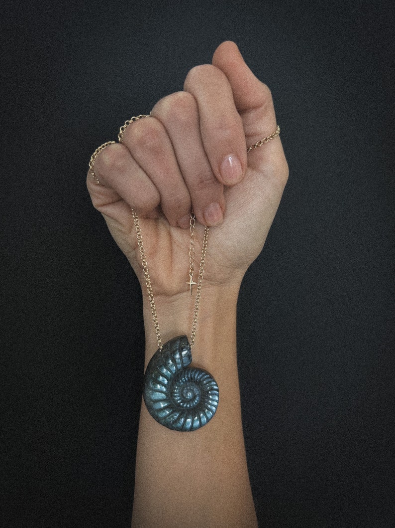 Ammonite shell Necklace, Labradorite stone carved, unique stone amulet, 14k gold plated chain, boho jewelry, tulum fashion, ammonite pendant Chain