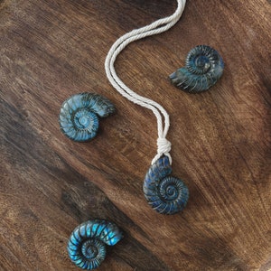 Ammonite shell Necklace, Labradorite stone carved, unique stone amulet, 14k gold plated chain, boho jewelry, tulum fashion, ammonite pendant Cotton cord