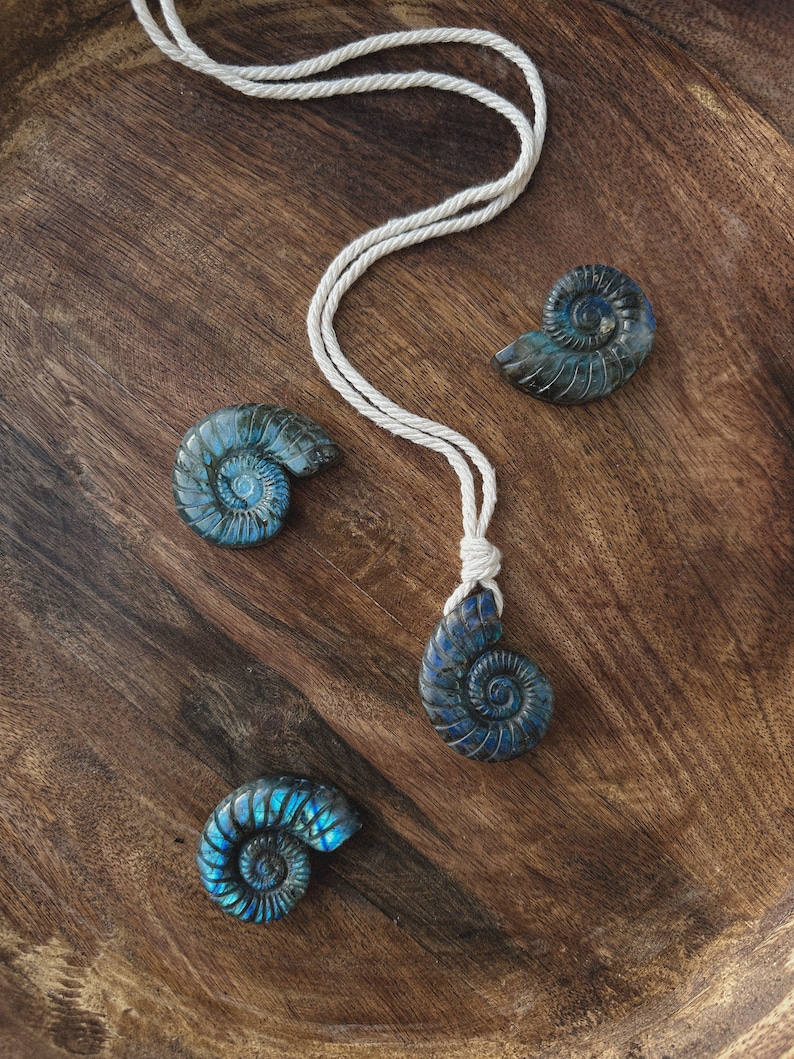 Ammonite shell Necklace, Labradorite stone carved, unique stone amulet, 14k gold plated chain, boho jewelry, tulum fashion, ammonite pendant Cotton cord