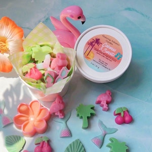 3 oz package of natural soy wax melts in fun shapes in the same scent, Cabanas & Sunsets.
