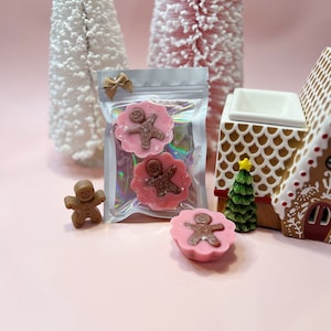 Gingerbread soy wax melt | Gingerbread man | Christmas gift | Stocking stuffer | Small gift | Holiday tarts | Handmade | Cute gifts