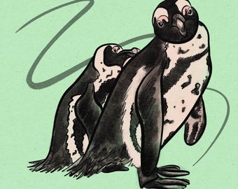 African Penguins