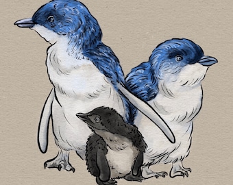 Little Blue Penguins