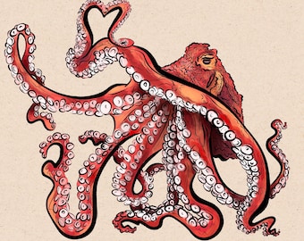 Giant Pacific Octopus