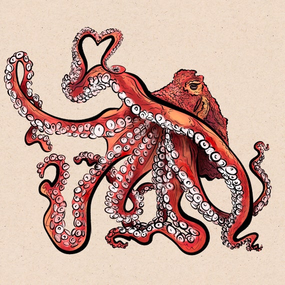 Giant Pacific Octopus Illustration