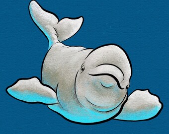 Beluga Whale