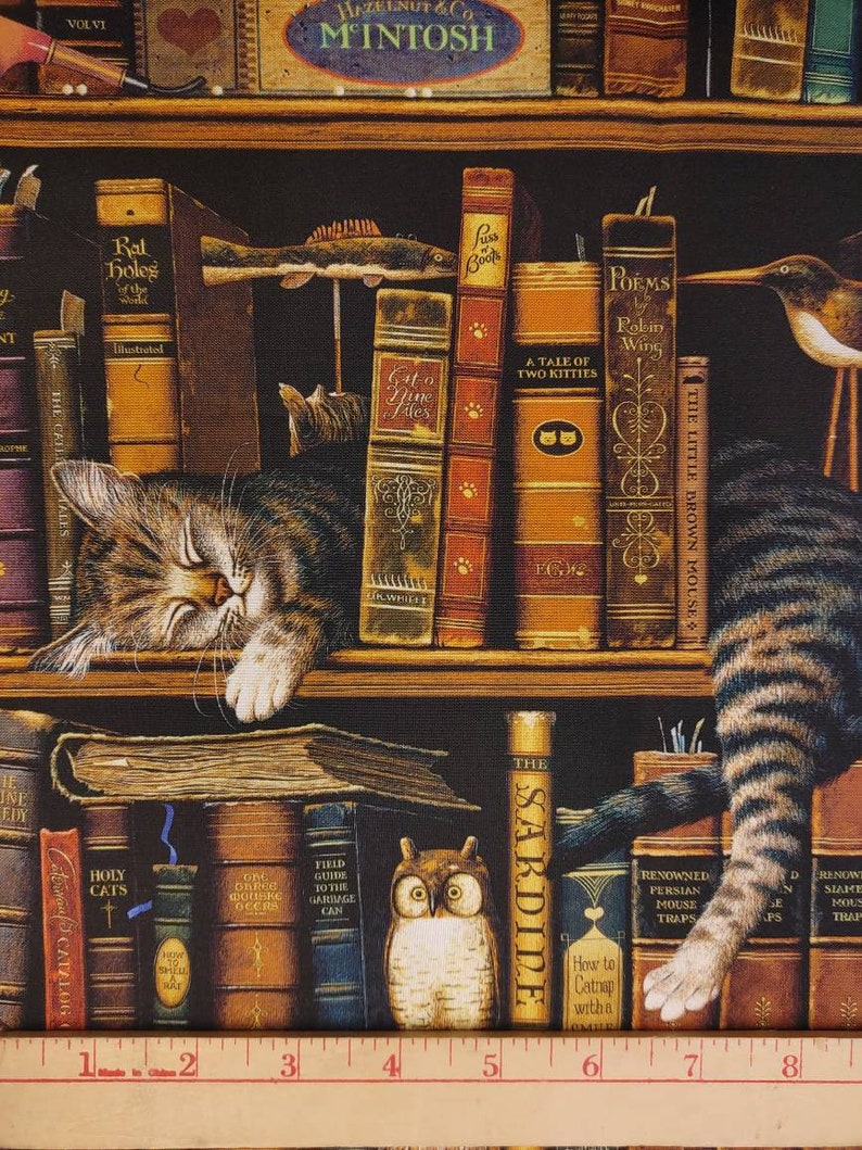Cat Library Quilting Cotton Fabric Northcott Cat Tales Etsy