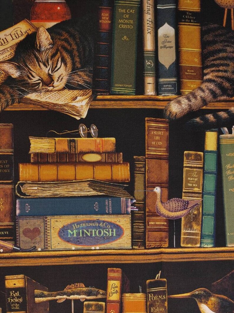 Cat Library Quilting Cotton Fabric Northcott Cat Tales Etsy